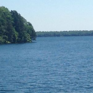 Meet your Posher, Nicholas